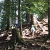 2015_07 Glygge Pic-Nic
